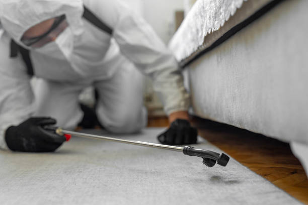 Professional Bed Bug Control technician working in Hughesville, MD