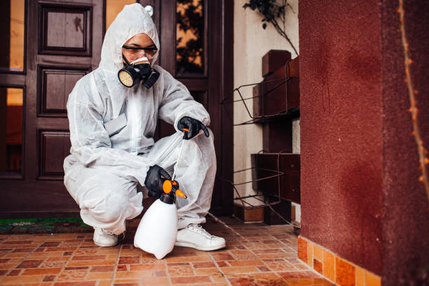 Reliable Bed Bug Control contractor in Hughesville, MD by Nex Pest Control