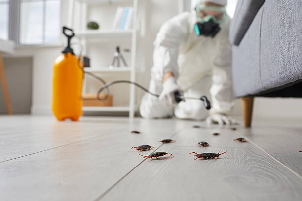 Trusted Cockroach Control service in Hughesville, MD - Nex Pest Control